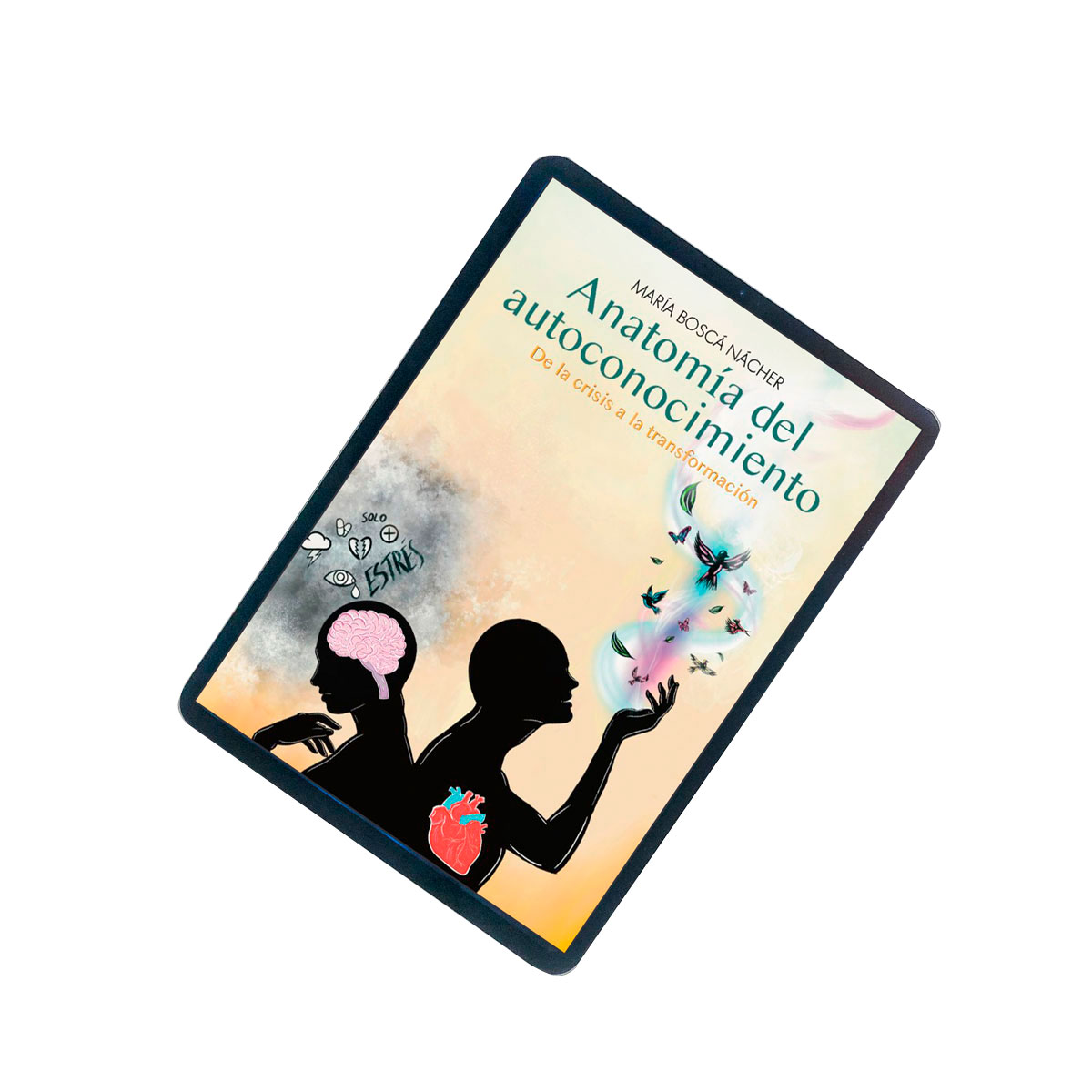 producto-libro-ebook