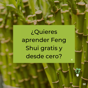Aprender Feng Shui gratis