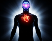 Vivir en coherencia es alinear cuerpo, mente, espíritu y emociones